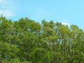 Hobby_SPRING_039S_mini.jpg