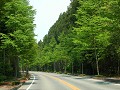 Hobby_SPRING_040S_mini.jpg