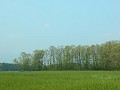 Hobby_SPRING_041S_mini.jpg