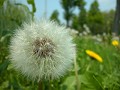 Hobby_SPRING_042S_mini.jpg