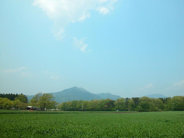 Hobby_SPRING_043S.jpg