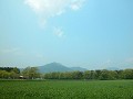 Hobby_SPRING_043S_mini.jpg