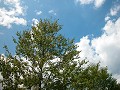 Hobby_SUMMER_013S_mini.jpg