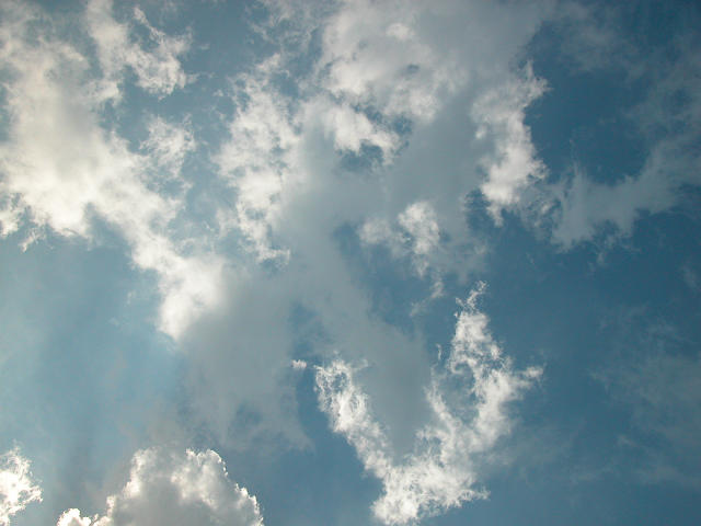 Hobby_SUMMER_021S.jpg
