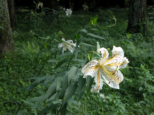Hobby_SUMMER_026S.jpg