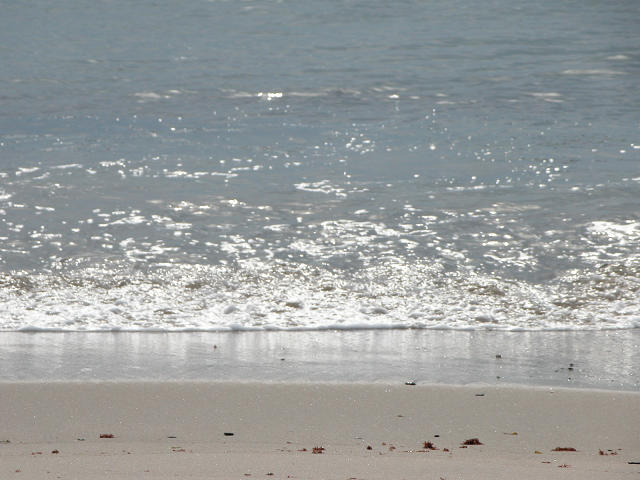 Hobby_SUMMER_027S.jpg