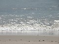 Hobby_SUMMER_027S_mini.jpg