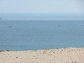 Hobby_SUMMER_028S_mini.jpg