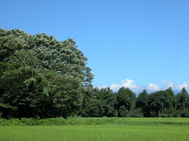 Hobby_SUMMER_029S.jpg