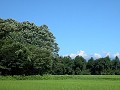 Hobby_SUMMER_029S_mini.jpg