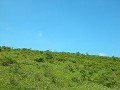 Hobby_SUMMER_037S_mini.jpg