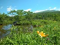 Hobby_SUMMER_038S_mini.jpg