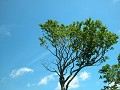 Hobby_SUMMER_039S_mini.jpg
