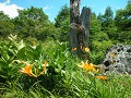Hobby_SUMMER_040S_mini.jpg