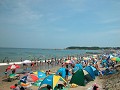 Hobby_SUMMER_046S_mini.jpg