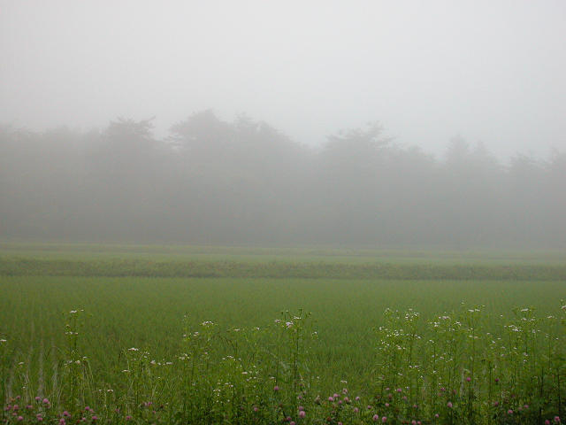 Hobby_SUMMER_057S.jpg