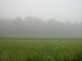 Hobby_SUMMER_057S_mini.jpg