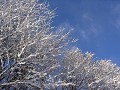 Hobby_WINTER_003S_mini.jpg