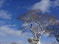 Hobby_WINTER_004S_mini.jpg