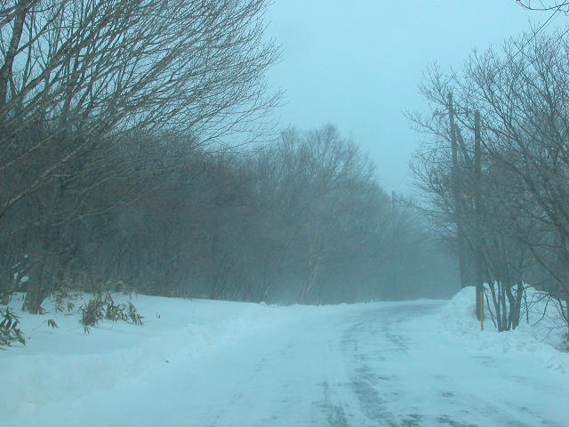Hobby_WINTER_008S.jpg