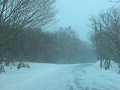 Hobby_WINTER_008S_mini.jpg