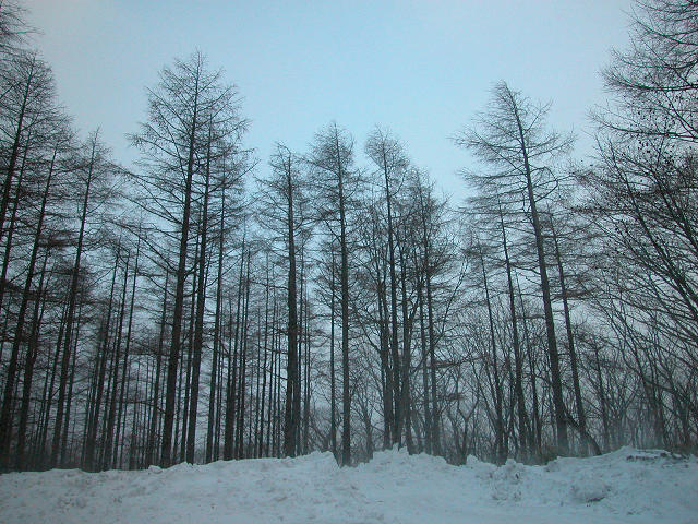 Hobby_WINTER_009S.jpg