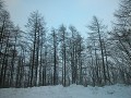 Hobby_WINTER_009S_mini.jpg