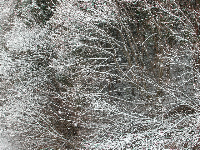 Hobby_WINTER_010S.jpg