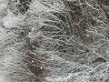 Hobby_WINTER_010S_mini.jpg