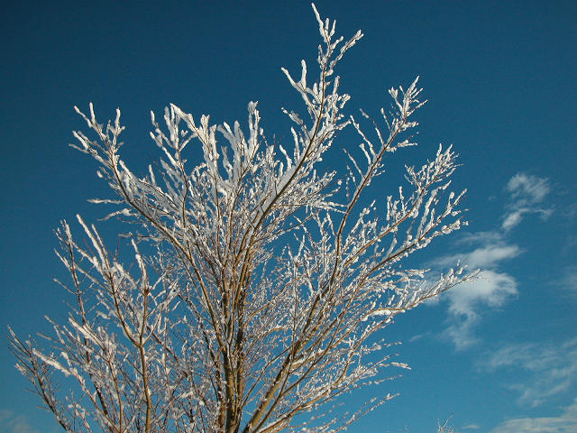 Hobby_WINTER_012S.jpg