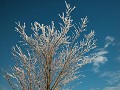 Hobby_WINTER_012S_mini.jpg
