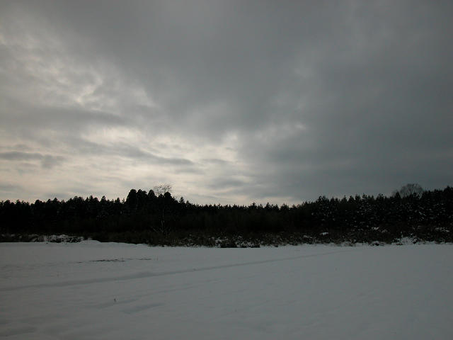 Hobby_WINTER_013S.jpg