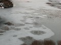 Hobby_WINTER_019S_mini.jpg