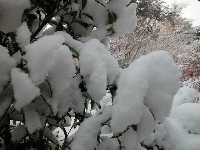 Hobby_WINTER_021S.jpg