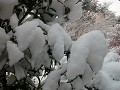 Hobby_WINTER_021S_mini.jpg