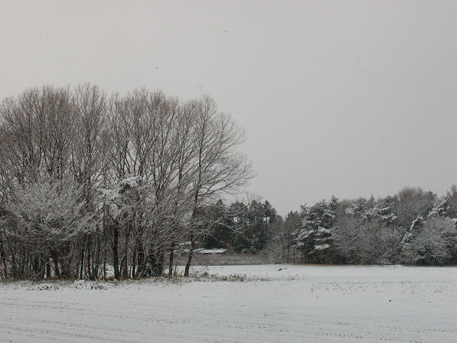 Hobby_WINTER_022S.jpg
