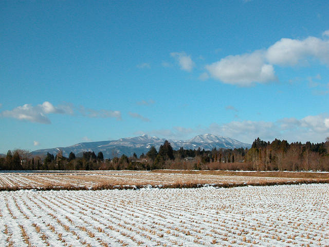 Hobby_WINTER_023S.jpg