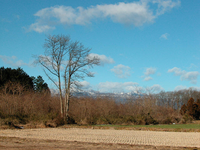 Hobby_WINTER_024S.jpg