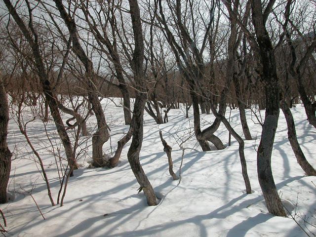 Hobby_WINTER_037S.jpg