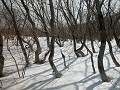 Hobby_WINTER_037S_mini.jpg